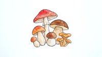 Watercolor illustration of various mushroom varieties including red toadstool, brown caps, and golden toadstools arranged in a botanical composition on isolated white background for design projects.