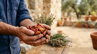 Weathered hands holding dried red peppers in a rustic garden setting with terracotta pots and olive trees, suitable for agricultural and culinary content.