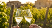 Two hands toasting with champagne flutes in vineyard at golden hour with rustic buildings and grapevines creating romantic wine country atmosphere.