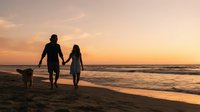 Man and woman holding hands walking on beach at sunset with dog, enjoying outdoor leisure time by ocean.