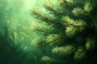 Fresh pine branches with green needles in morning sunlight creating magical forest atmosphere with bokeh effect and sun rays through fog.