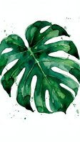 Watercolor monstera leaf with green paint splatters on white background, tropical botanical art for home decor and nature-inspired designs.