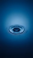 Water droplet creating concentric ripples on deep blue surface, suitable for environmental, sustainability, and wellness marketing materials.