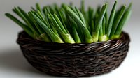 Fresh green onions or scallions arranged in dark woven basket, close up view showing bright stems against rustic container, food photography for cooking and cuisine.