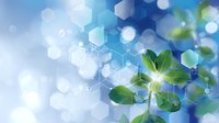 Fresh green leaves with geometric hexagonal shapes and bokeh light effects on blue background create modern nature technology concept.