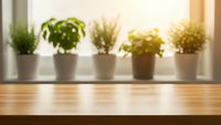 Empty wooden table surface with blurred potted plants on windowsill background, natural sunlight streaming through window creating warm atmosphere.