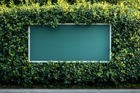 Empty green chalkboard frame surrounded by lush green hedge wall creates natural outdoor classroom or announcement space in garden setting.