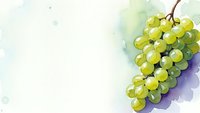 Watercolor green grape cluster with soft purple shadows on light textured background for wine labels, kitchen decor and culinary designs.