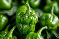 Fresh green bell peppers with water droplets at farmers market ready for healthy cooking and organic vegetable recipes.