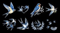 Watercolor blue swallows clipart set isolated on transparent background, ready for t-shirt design, stickers, sublimation, print on demand, and digital crafts.