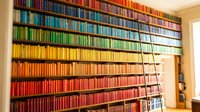 Colorful rainbow library wall with organized books arranged by color spectrum from red to blue, featuring rolling ladder for access to upper shelves in modern home.