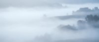 Misty morning landscape with fog rolling over forested hills creating dreamy atmospheric layers. Serene nature scene with soft gray clouds and mist.