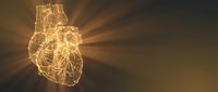 Glowing golden wireframe human heart with radiating light beams on dark background for medical education and healthcare presentations.