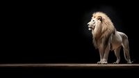 Majestic male lion with light mane standing proudly on dark background, side view dramatic lighting creates powerful wildlife atmosphere. Perfect for nature publications.