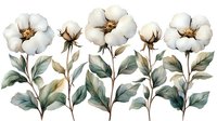 White cotton flowers with green leaves and stems on isolated background, watercolor style botanical illustration for fabric, textile, and surface design.