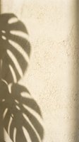 Shadow of tropical palm leaves cast on textured beige wall, creating natural light and shade pattern for botanical, nature, and minimalist design projects.