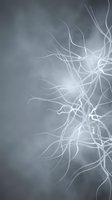Abstract flowing white tendrils with luminous light effects on soft gray background, suitable for modern design, technology, and creative projects.