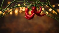 Fresh red chili peppers hanging from green plant stems with warm golden bokeh lights creating festive atmosphere for culinary and cooking themes.