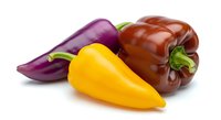 Fresh purple eggplant, yellow bell pepper, and brown bell pepper isolated on white background, ready for culinary, recipe, and food design projects.