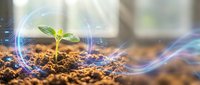 Young green plant seedling emerging from rich brown soil with glowing blue energy waves and light effects symbolizing growth, innovation and sustainability.