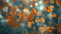 Orange autumn leaves on branch against blurred teal background with dreamy bokeh lights creating magical forest atmosphere. Nature photography for seasonal designs.