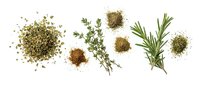Fresh and dried herbs collection with oregano thyme rosemary and spices arranged on white background for culinary cooking and seasoning recipes.