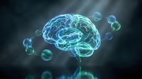 Glowing blue brain with neural network patterns floating in dark space with luminous spheres for medical neuroscience and artificial intelligence concepts.
