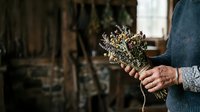 Farmer holding dried wildflower bunch in rustic barn setting, showcasing agricultural harvest and countryside lifestyle for editorial and lifestyle content.