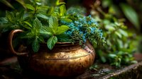 Fresh mint and herbs in vintage copper pot for culinary cooking and natural medicine preparation on rustic wooden surface.