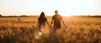Young couple holding hands walking through golden wheat field at sunset creating romantic silhouette against warm evening light for wedding and love concepts.