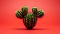 Cactus shaped like Mickey Mouse head with ears on vibrant red background. Creative succulent plant concept for home decor and botanical design projects.