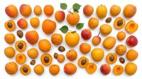 Fresh apricots and peaches arranged in rows on white background, whole and halved fruits showing pits, summer stone fruit collection for healthy eating.