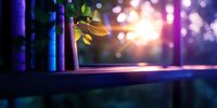 Growing plant sprout between books on shelf with magical bokeh light effect and sunbeam in background, symbolizing knowledge growth and education concept.