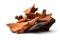 Natural driftwood pieces in warm brown tones isolated on white background, showing organic shapes and textures for decorative and artistic purposes.