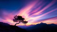 Solitary windswept tree silhouetted against dramatic pink and purple sunset sky with mountain range backdrop, golden hour landscape scenery for nature and travel projects.