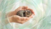 Hands holding small tabby kitten against soft green and white floral background, conveying care and protection for pet adoption or animal welfare campaigns.