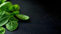 Fresh baby spinach leaves with water drops on dark background, macro food photography for healthy eating and organic produce marketing.