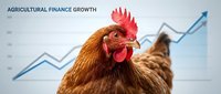 Rooster with upward trending graph showing agricultural finance growth, representing poultry farming business success and market expansion in livestock industry.