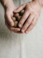 Close-up of mature male hands holding walnuts in shell, displaying natural food, healthy eating, and organic nutrition concepts for culinary and wellness projects.