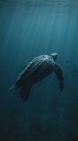 Sea turtle swimming gracefully in deep blue ocean water with sunlight rays filtering through surface creating peaceful underwater marine environment.