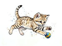 Playful tabby kitten with striped coat pouncing on colorful toy ball, isolated on white background with watercolor splashes for design use.