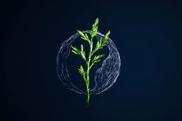 Green plant sprout emerging through glowing circular light on dark background, symbolizing growth, hope and environmental sustainability.