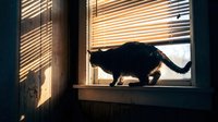 Black cat silhouette stretching on windowsill with sunlight filtering through venetian blinds, creating dramatic shadows and warm golden light for home decor and pet-related projects.