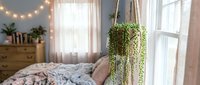 Cozy bedroom interior with hanging potted plant, string lights, and natural window light creating warm ambiance for home decor and lifestyle design projects.