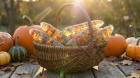Wicker basket filled with colorful Indian corn surrounded by orange pumpkins and gourds on rustic wooden surface with warm autumn sunlight filtering through trees.