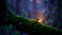 Glowing firefly on moss-covered branch against starry night sky with magical bokeh lights creating enchanting forest atmosphere for nature and fantasy themes.