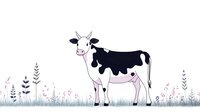 Dairy cow standing in meadow with wildflowers and grass silhouettes, black and white spotted Holstein cattle in minimalist line art style on white background.