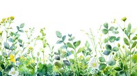 Watercolor meadow border with green eucalyptus leaves, wildflowers and yellow blooms on white background, botanical spring garden illustration.
