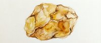 Golden mineral specimen with translucent crystalline structure, isolated on white background, suitable for geology education, scientific illustration, and design projects.