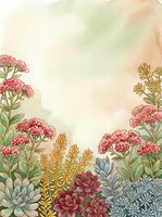 Watercolor garden with succulents and pink wildflowers on a soft pastel background, perfect for cards, prints, and botanical decor.